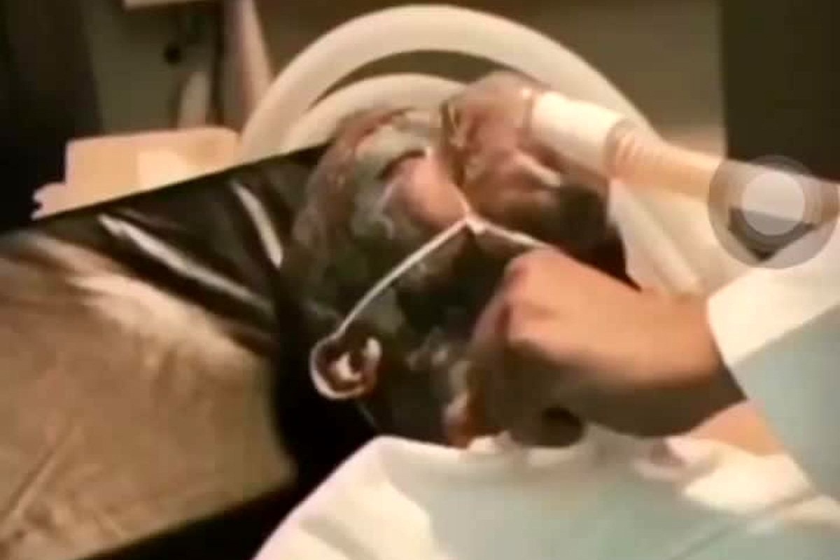 فیلم| کما رفتن امیر تتلو و احتمال مرگ تتلو به علت تصادف | دیلی فوتبال