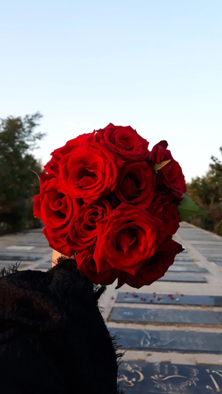 عکس و فیلم| سارینا اسماعیل زاده کیست؟؛ خودکشی یا کشته شدن در اعتراضات، علت مرگ دختر 16 ساله چه بود؟ عکس و فیلم| سارینا اسماعیل زاده کیست؟؛ خودکشی یا کشته شدن در اعتراضات، علت مرگ دختر 16 ساله چه بود؟ | دیلی فوتبال