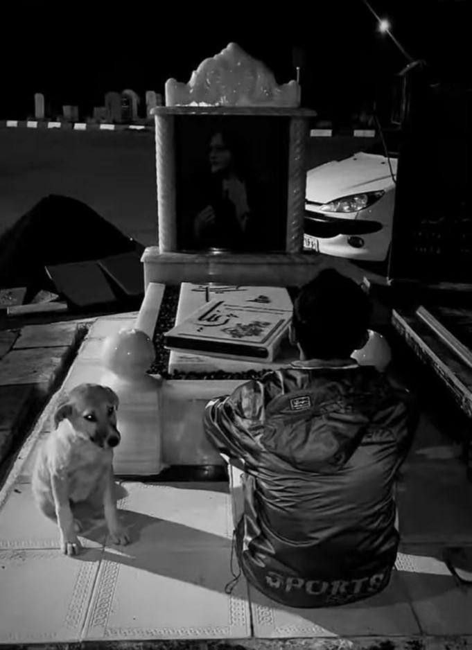 عکس| استوری دردناک برادر مهسا امینی کام مردم ایران را تلخ کرد عکس| استوری دردناک برادر مهسا امینی کام مردم ایران را تلخ کرد | دیلی فوتبال