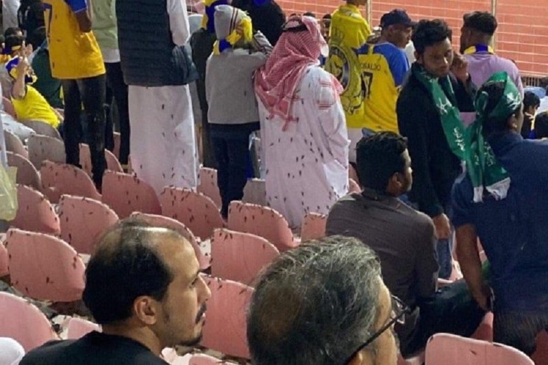 عکس| حمله ملخ ها به کریستیانو رونالدو در لیگ عربستان سعودی! | دیلی فوتبال