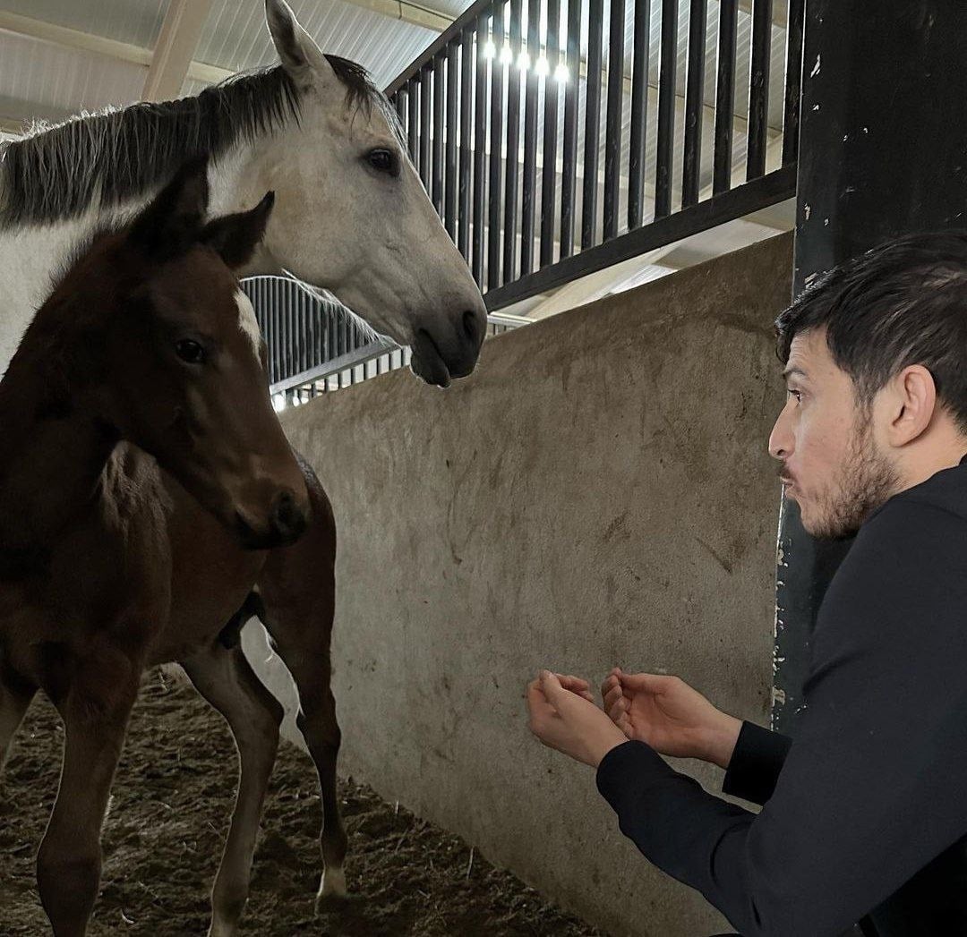 سردار آزمون از تیم ملی ایران اخراج می شود؟ سردار آزمون از تیم ملی ایران اخراج می شود؟ | دیلی فوتبال