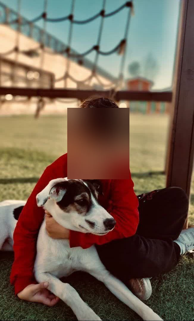 فیلم| هنجارشکنی و کشف حجاب در مزرعه کودک اکسین؛ مرکز ترویج فساد غربی در آمل پلمب شد فیلم| هنجارشکنی و کشف حجاب در مزرعه کودک اکسین؛ مرکز ترویج فساد غربی در آمل پلمب شد | دیلی فوتبال