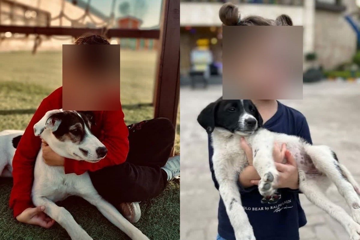 فیلم| هنجارشکنی و کشف حجاب در مزرعه کودک اکسین؛ مرکز ترویج فساد غربی در آمل پلمب شد فیلم| هنجارشکنی و کشف حجاب در مزرعه کودک اکسین؛ مرکز ترویج فساد غربی در آمل پلمب شد | دیلی فوتبال