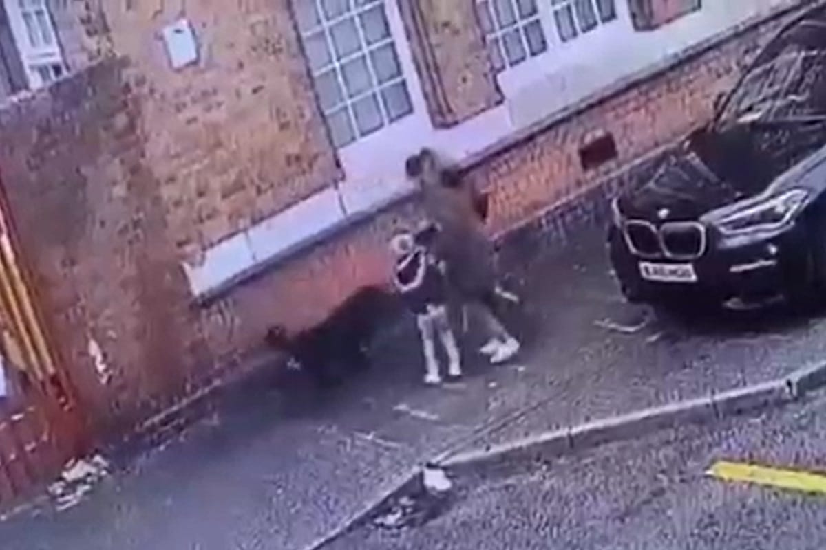 فیلم| حمله هولناک سگ وحشی به یک زن و فرزندان خردسالش در خیابان | دیلی فوتبال