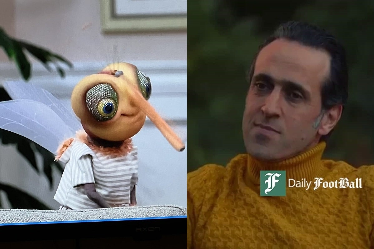 فیلم| علی کریمی تو حتی از پشه هم کمتری! فیلم| علی کریمی تو حتی از پشه هم کمتری! | دیلی فوتبال