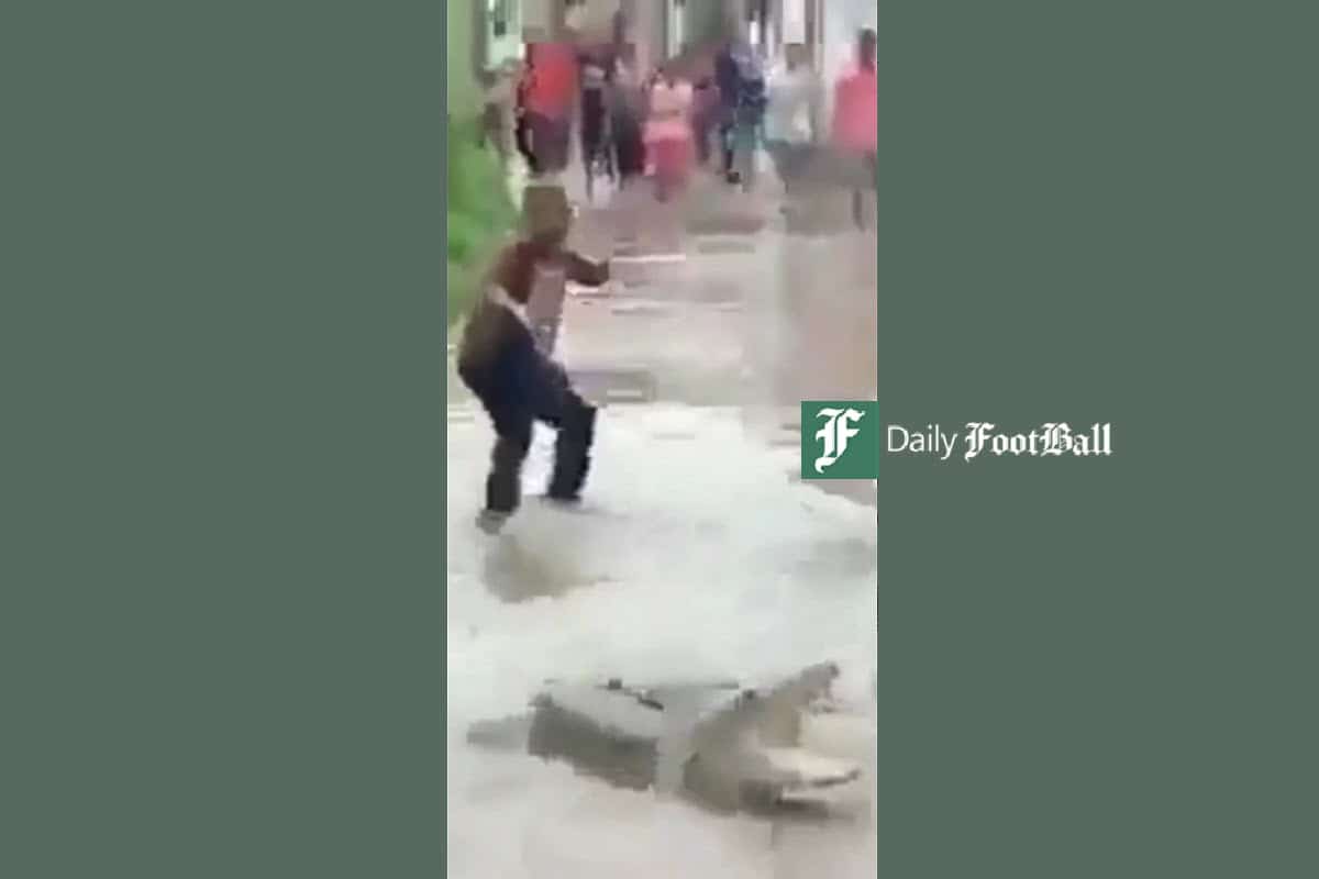 فیلم| ورود وحشتناک تمساح به شهر سیل زده فیلم| ورود وحشتناک تمساح به شهر سیل زده | دیلی فوتبال