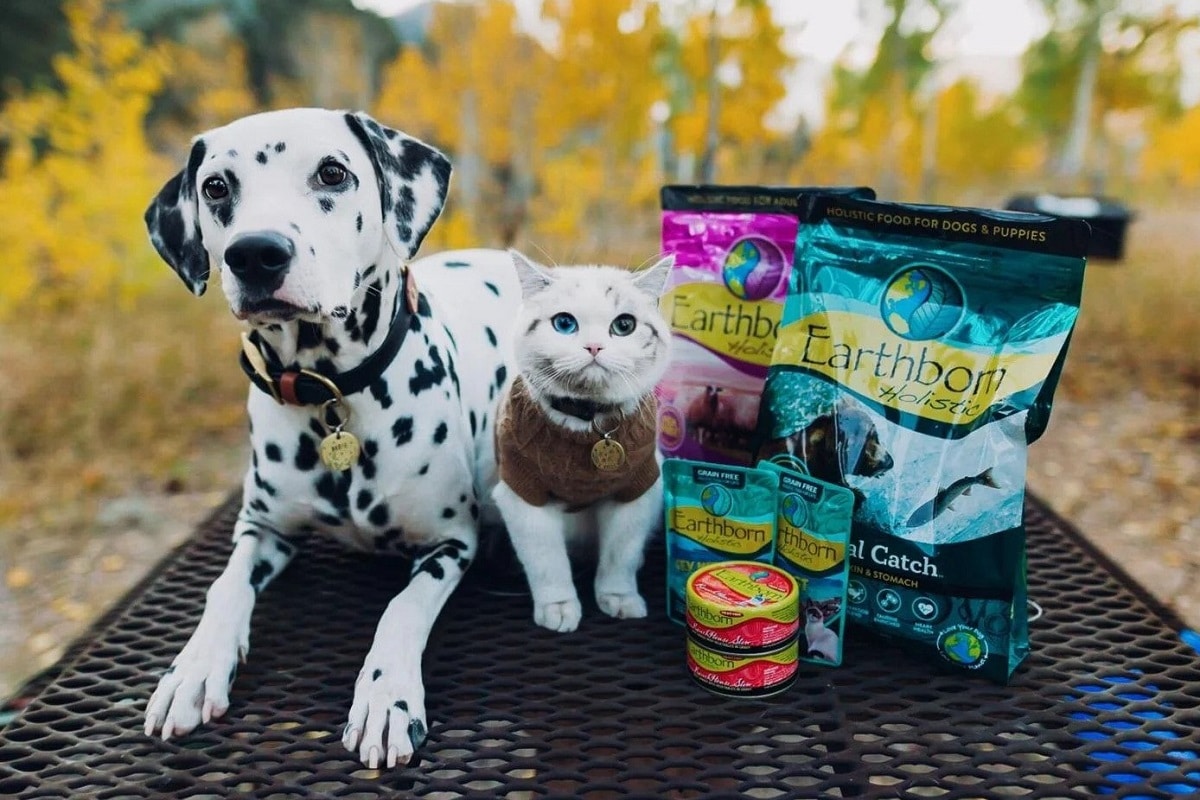 فیلم| مردم کدوم کشور غذای سگ و گربه میخورن؟ | دیلی فوتبال