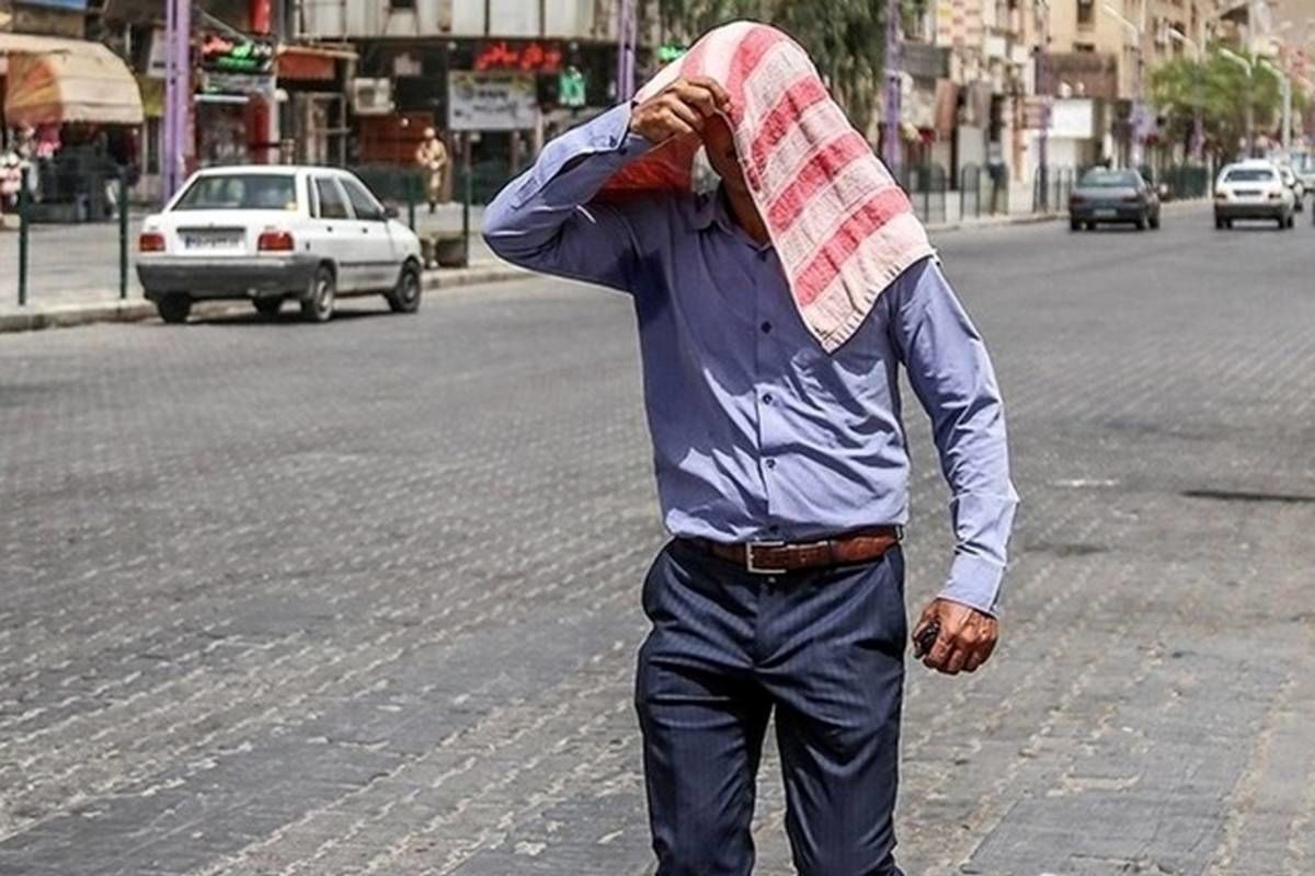 عکس| اقدام تحسین برانگیز یک نمایشگاه دار در گرمای هوای تهران | دیلی فوتبال