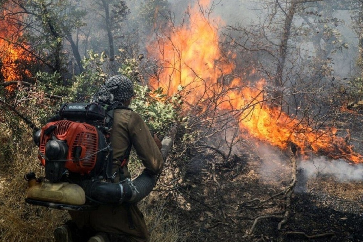 فیلم| آتش سوزی جنگل هم کار خودشونه! | دیلی فوتبال