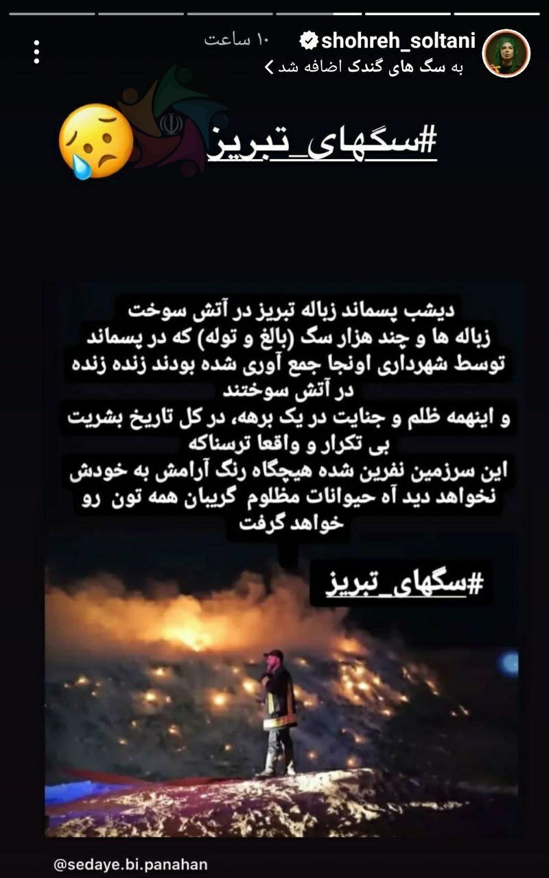 عکس| واکنش شهره سلطانی به سوختن سگ های تبریز در آتش سوزی عکس| واکنش شهره سلطانی به سوختن سگ های تبریز در آتش سوزی | دیلی فوتبال