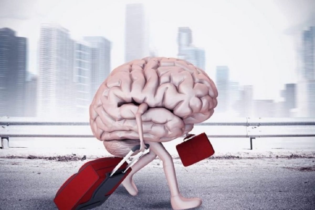 فیلم| مغز چرا فرار کردی عزیزم؟ | دیلی فوتبال