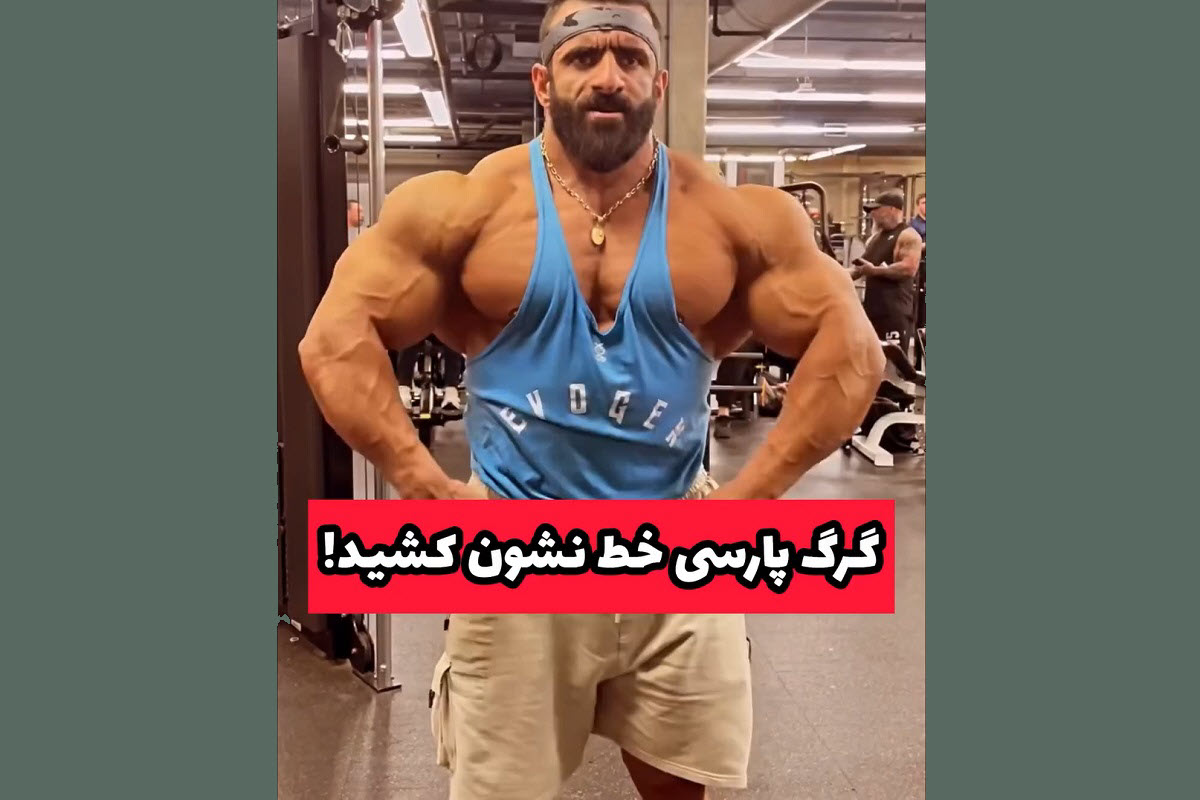 فیلم| خط و نشان هادی چوپان برای حریفان در آرنولد کلاسیک 2024 فیلم| خط و نشان هادی چوپان برای حریفان در آرنولد کلاسیک 2024 | دیلی فوتبال