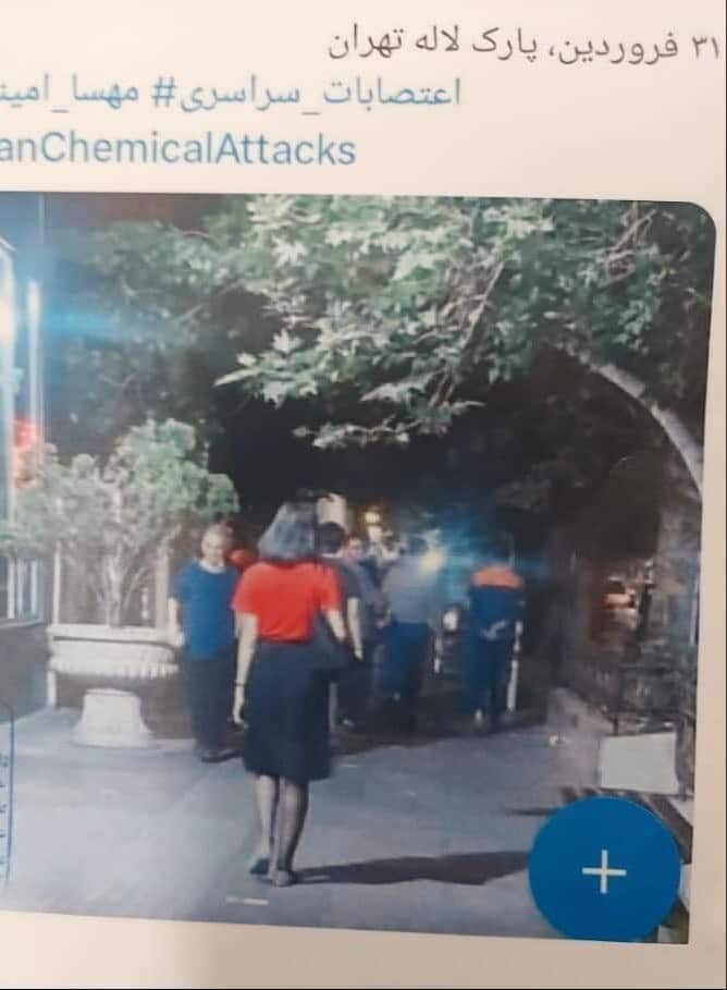 عکس| مستندات پرونده هنجارشکنی سازمان یافته رویا حشمتی با کشف حجاب علنی در خیابان عکس| مستندات پرونده هنجارشکنی سازمان یافته رویا حشمتی با کشف حجاب علنی در خیابان | دیلی فوتبال