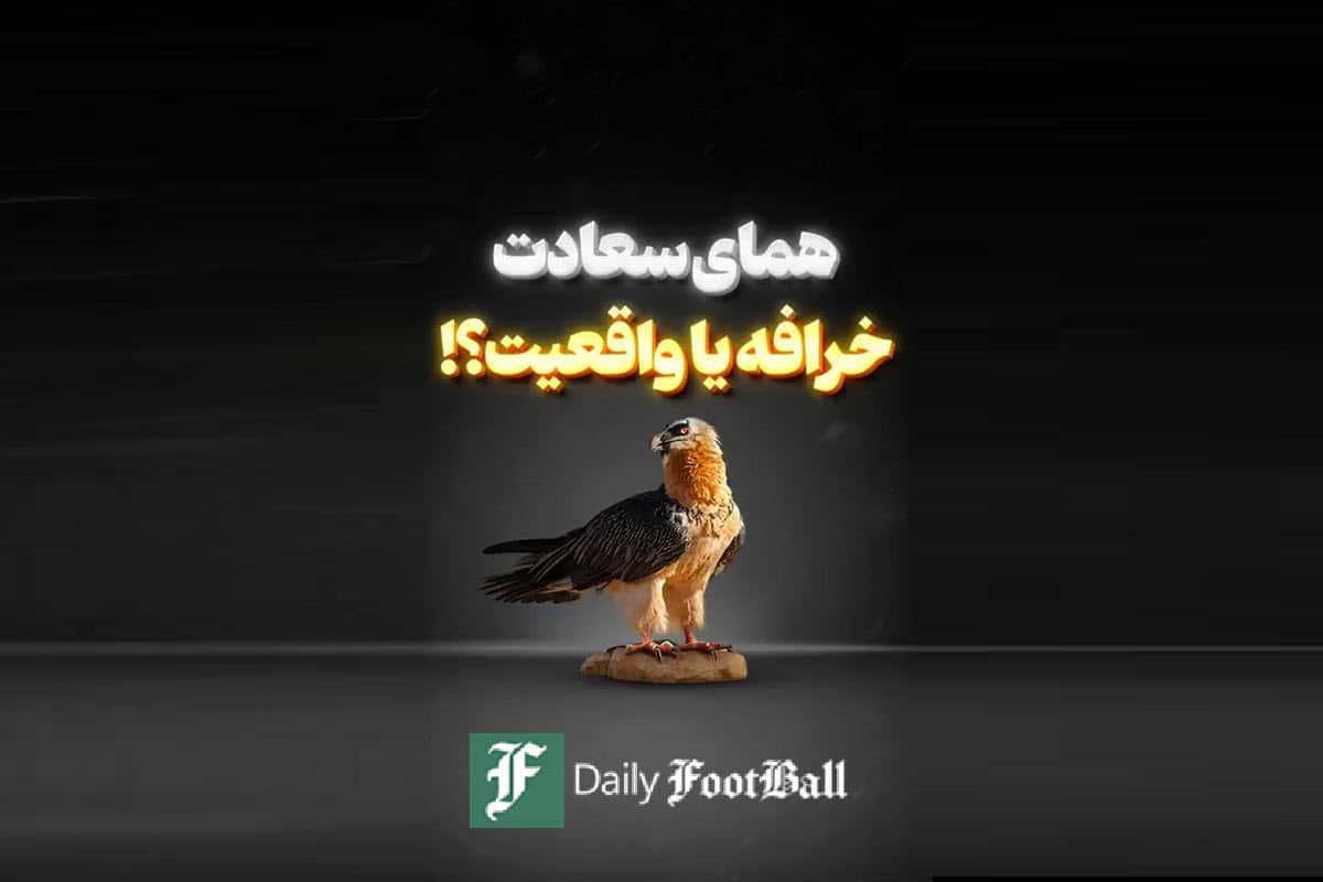 فیلم| همای سعادت؛ خرافه یا واقعیت؟ فیلم| همای سعادت؛ خرافه یا واقعیت؟ | دیلی فوتبال