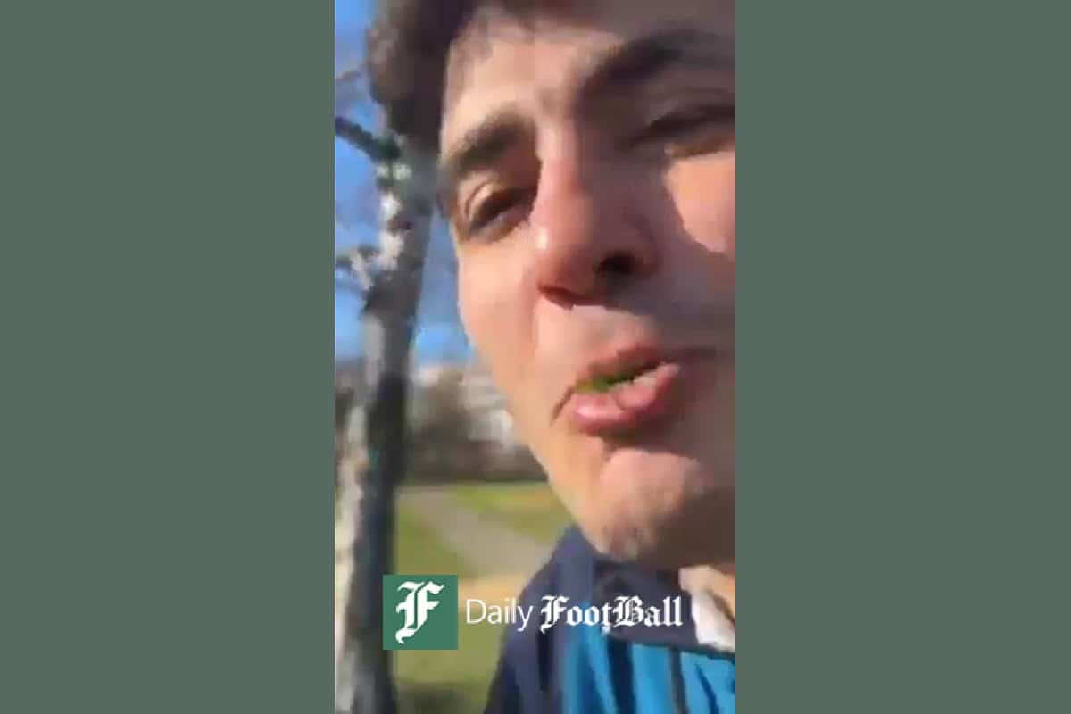 فیلم| دعوت بلاگر آذربایجانی به یونجه خواری مردم در پارک فیلم| دعوت بلاگر آذربایجانی به یونجه خواری مردم در پارک | دیلی فوتبال