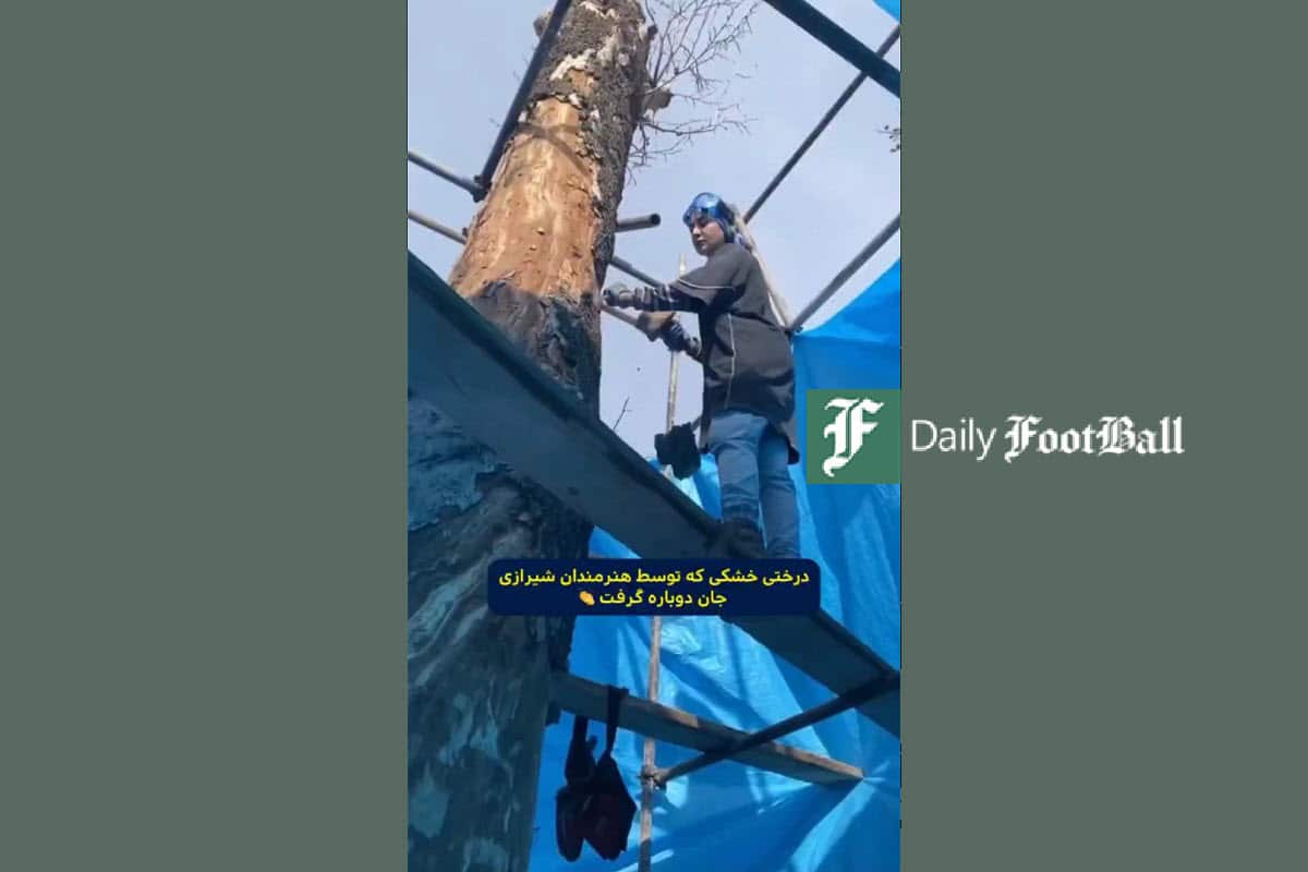 فیلم| درخت خشکی که توسط هنرمندان شیرازی جان دوباره گرفت فیلم| درخت خشکی که توسط هنرمندان شیرازی جان دوباره گرفت | دیلی فوتبال