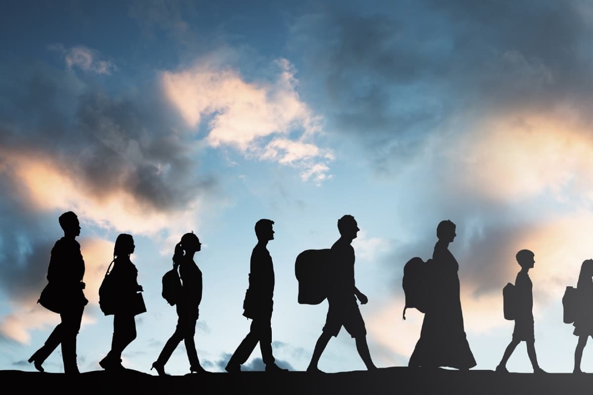 فیلم| از مهاجرت پشیمانیم، مثل سگ! فیلم| از مهاجرت پشیمانیم، مثل سگ! | دیلی فوتبال