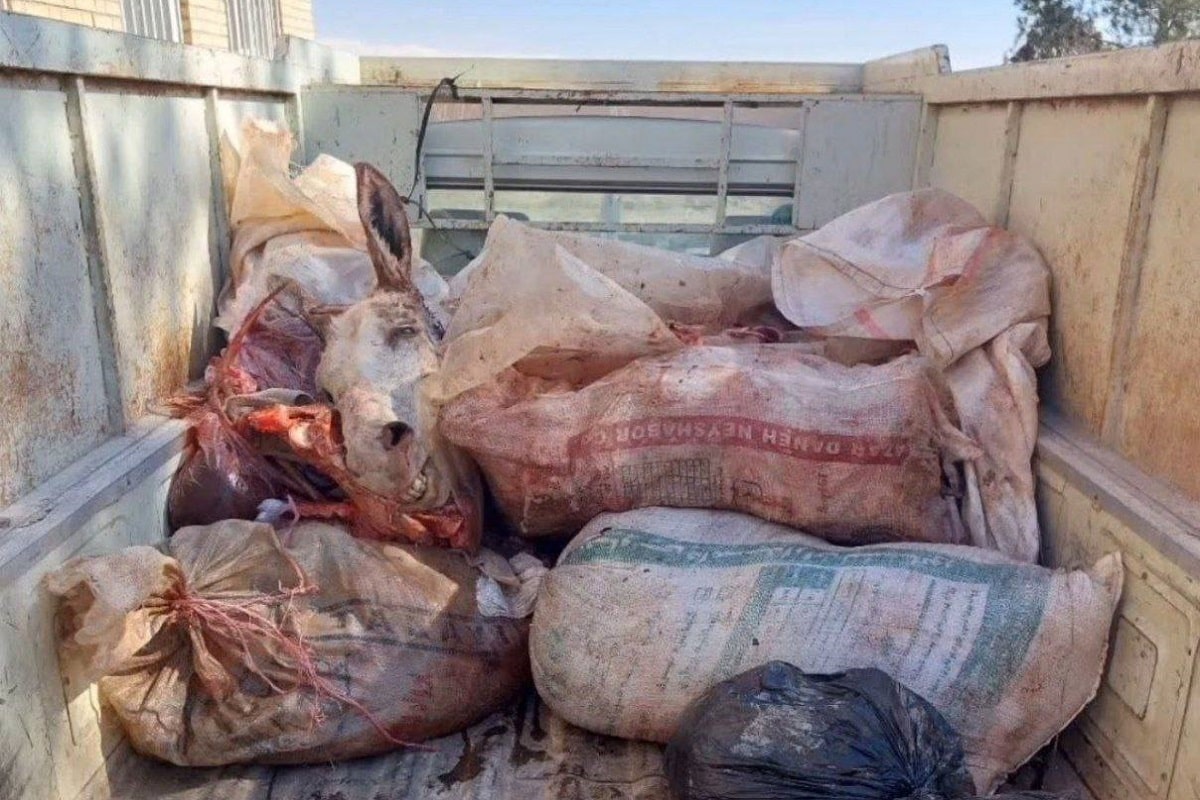 عکس| گوشت خر به رستوران های مشهد نرسید! عکس| گوشت خر به رستوران های مشهد نرسید! | دیلی فوتبال