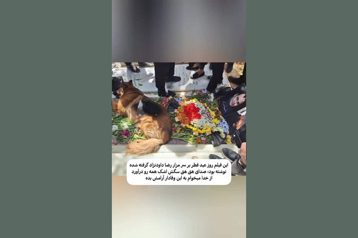 فیلم| گریه های سگ رضا داوودنژاد بر مزار این بازیگر فیلم| گریه های سگ رضا داوودنژاد بر مزار این بازیگر | دیلی فوتبال