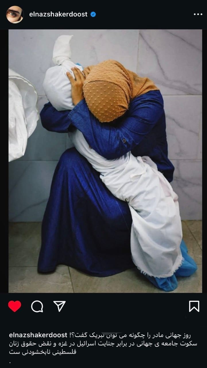 عکس| حمله براندازان به الناز شاکردوست | دیلی فوتبال