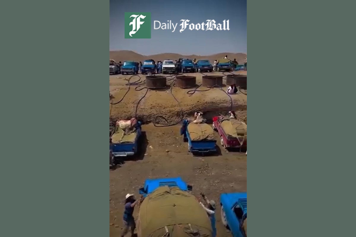 فیلم| وضعیت باورنکردنی قاچاق سوخت در مرزهای ایران فیلم| وضعیت باورنکردنی قاچاق سوخت در مرزهای ایران | دیلی فوتبال