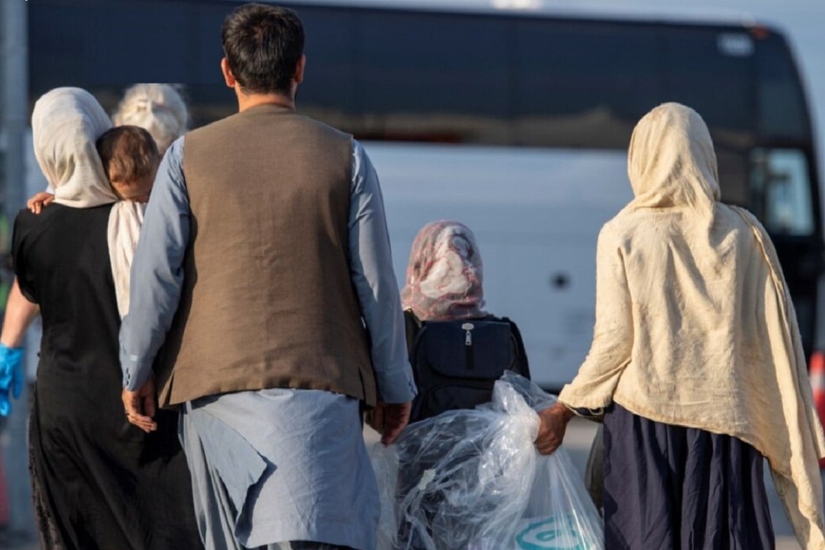 آمار ورود مهاجران افغانستانی به ایران در سال 2024 آمار ورود مهاجران افغانستانی به ایران در سال 2024 | دیلی فوتبال