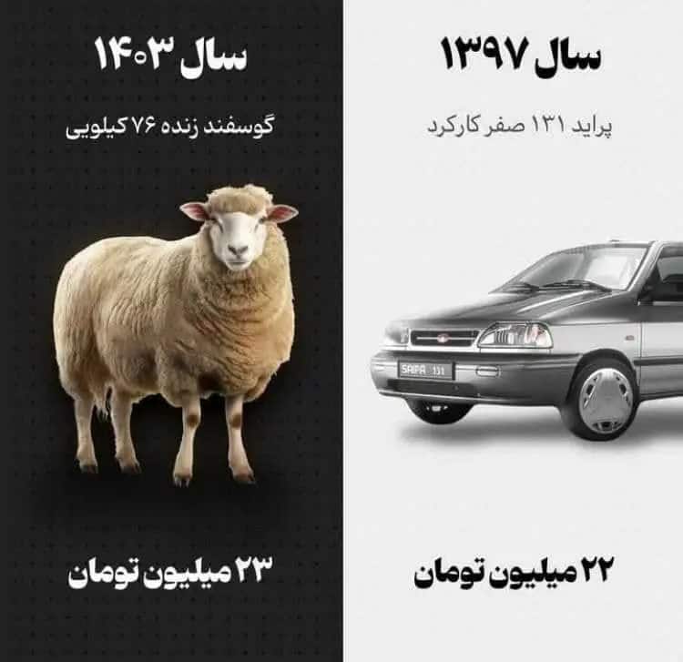 عکس| گوسفند هم قیمت پراید شد! عکس| گوسفند هم قیمت پراید شد! | دیلی فوتبال