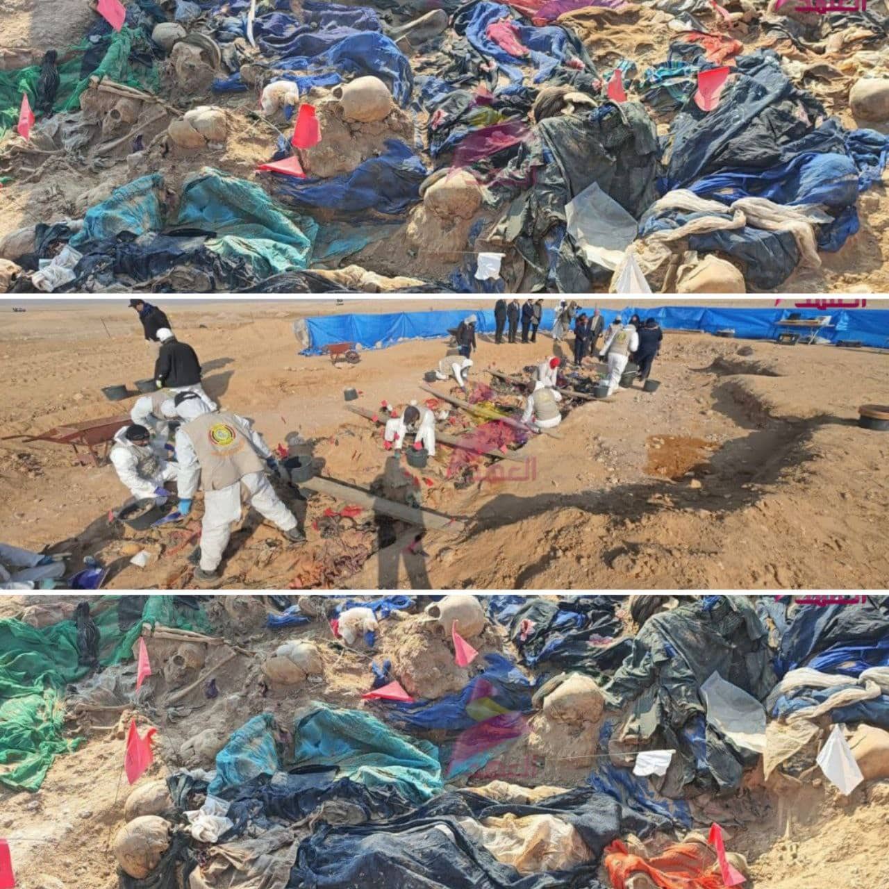 عکس| کشف گور دسته جمعی از زمان صدام | دیلی فوتبال