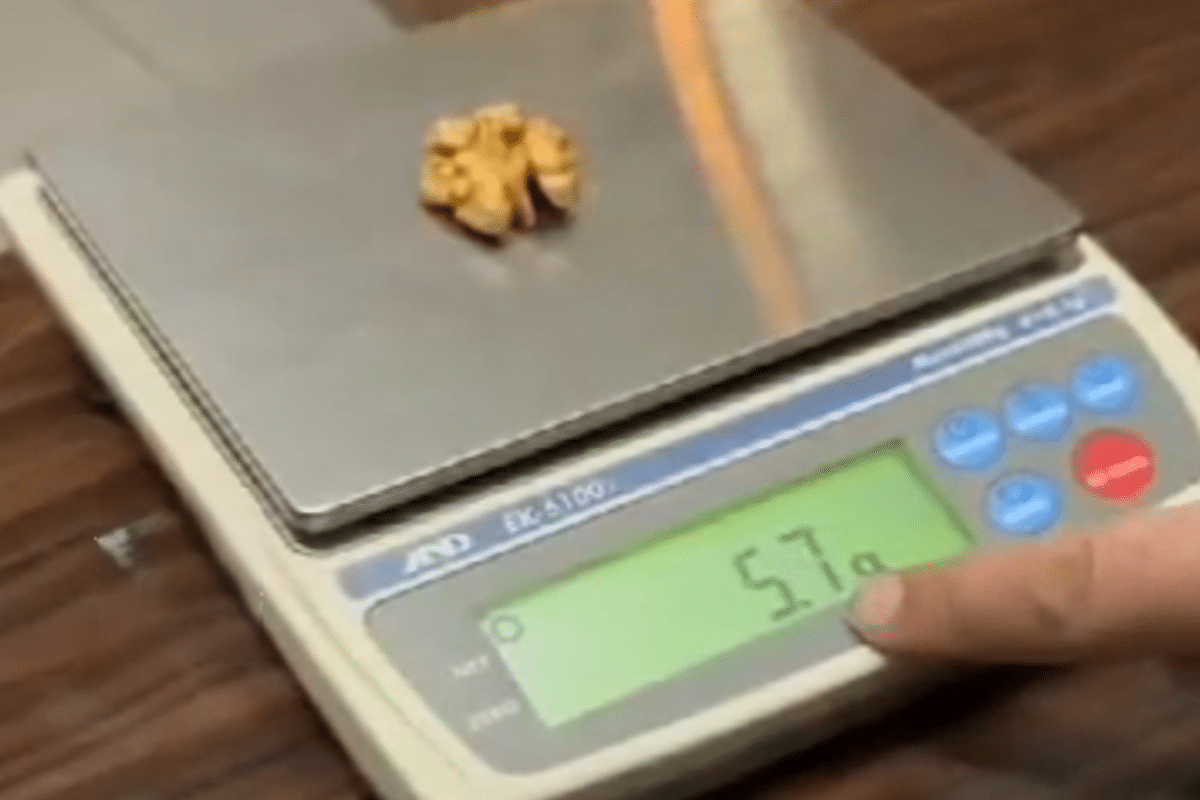 فیلم| آجیل شب عید گرمی چند؟ | دیلی فوتبال